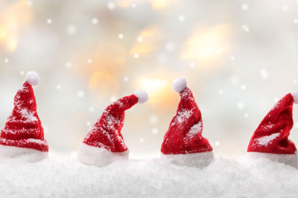 Ein gesegnetes Weihnachtsfest und einen guten Rutsch …